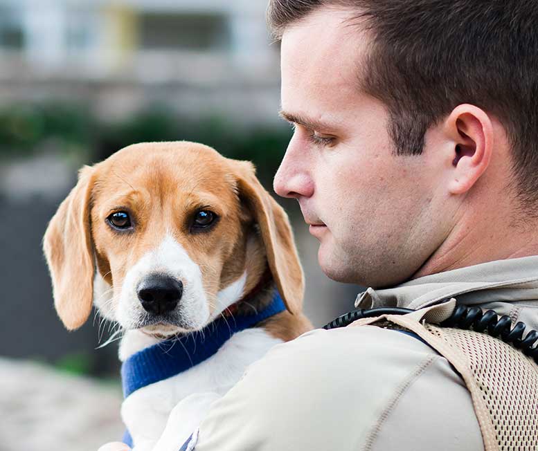 Reporting Animal Cruelty at RSPCA NSW RSPCA NSW RSPCA NSW