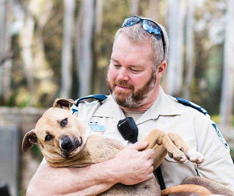 Reporting Animal Cruelty at RSPCA NSW RSPCA NSW RSPCA NSW