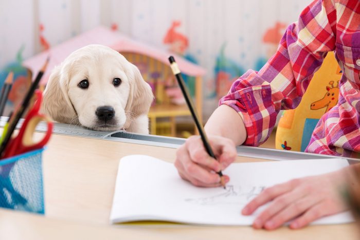 RSPCA AWARE (free education resources)