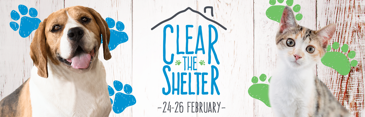 Clear the Shelter | RSPCA NSW Clear the Shelter | RSPCA NSW