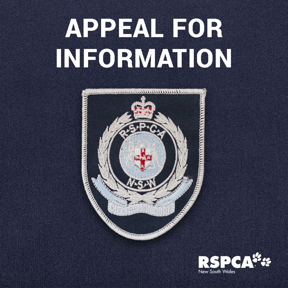 Appeal for Information1