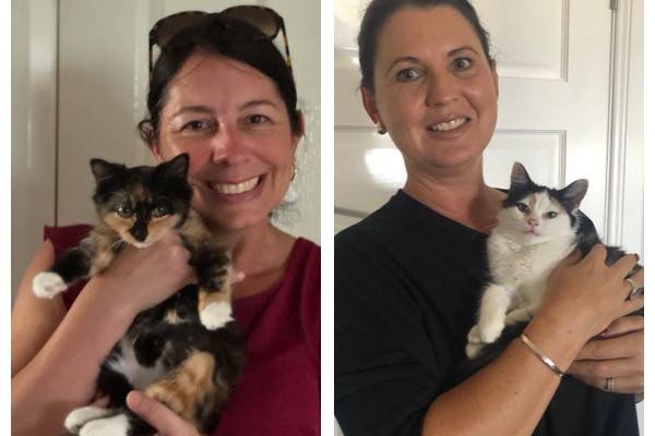 Cupcake and Muffin with their new mums.