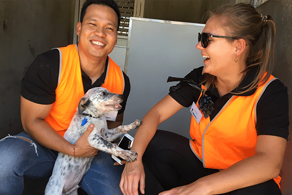 Torrens University Corporate Support Day