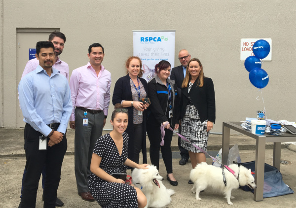 RSPCA NSW Corporate Visit March to April