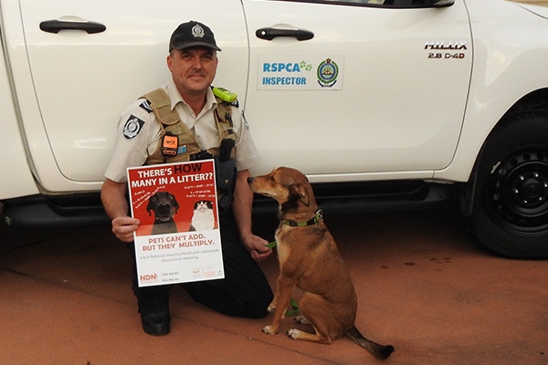 inspector holding dog on lead and desexing poster