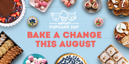 Ready, steady, bake! To help fight animal cruelty | RSPCA NSW