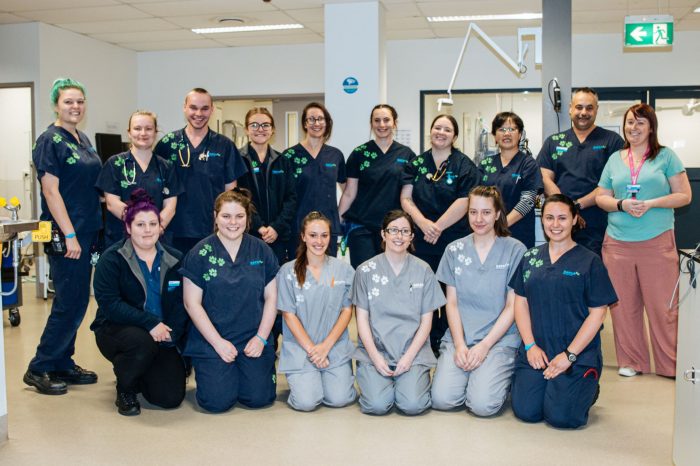 Vet nurse team at RSPCA Sydney Veterinary Hospital