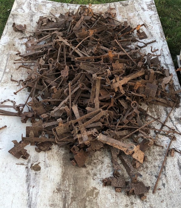 steel jaw rabbit traps for sale