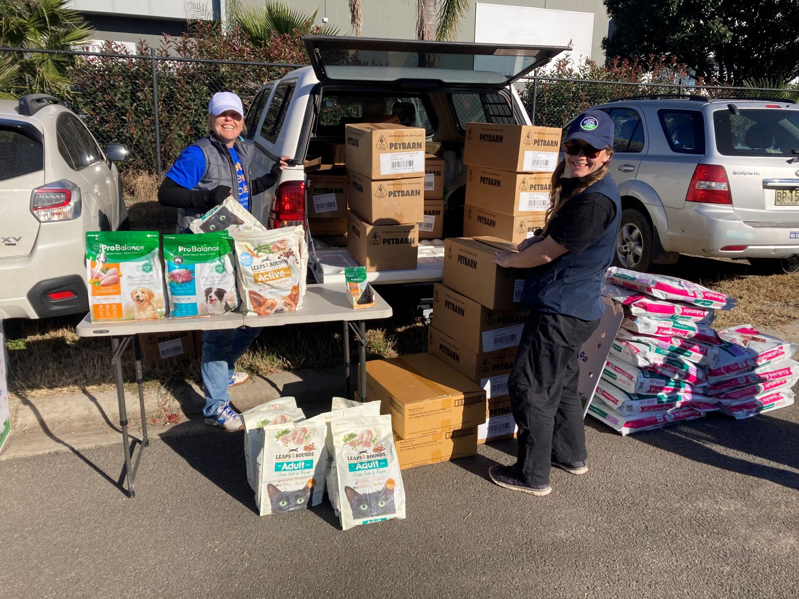 Petbarn microchipping sales