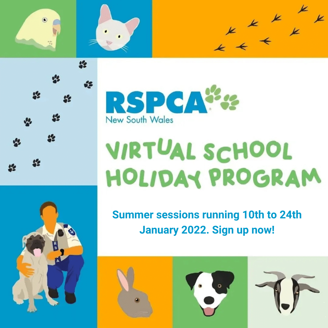 RSPCA NSW's Holiday Program has gone virtual | RSPCA NSW RSPCA NSW's Holiday Program has gone virtual | RSPCA NSW