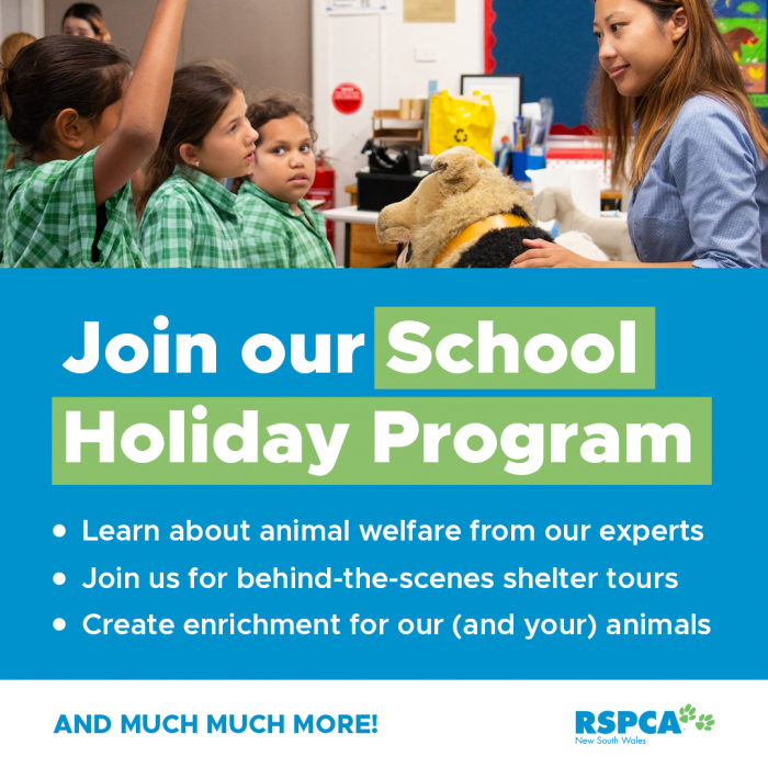 The RSPCA NSW School Holiday Program is welcoming back students to our Sydney (Yagoona) Education Centre and Adoption Centre this spring for some educational fun with our shelter staff and animals.