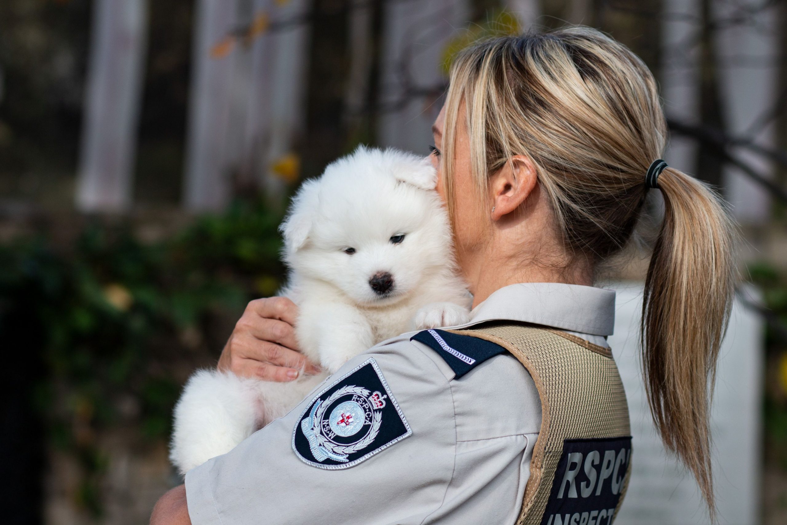 RSPCA NSW welcomes amendments to the Prevention of Cruelty to Animals Act |  RSPCA NSW