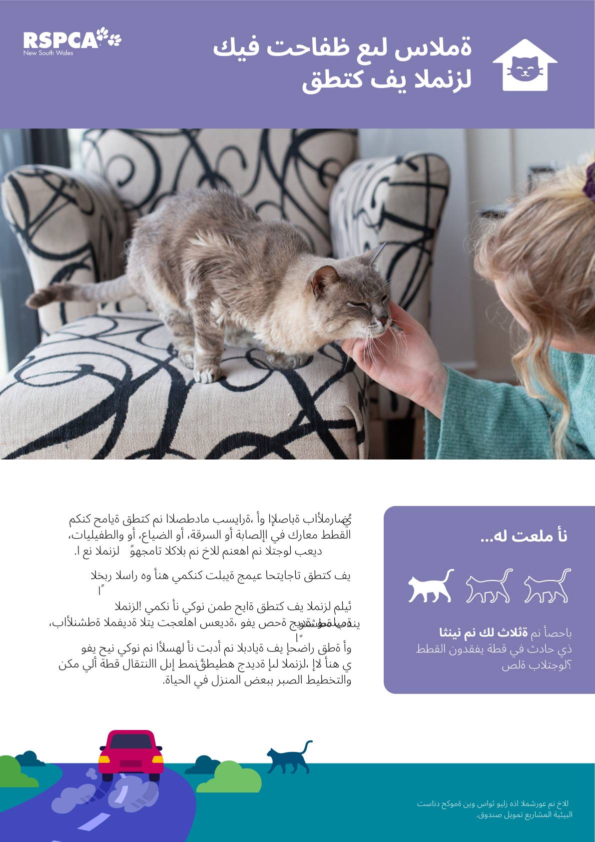 Arabic How to keep your cat safe at home