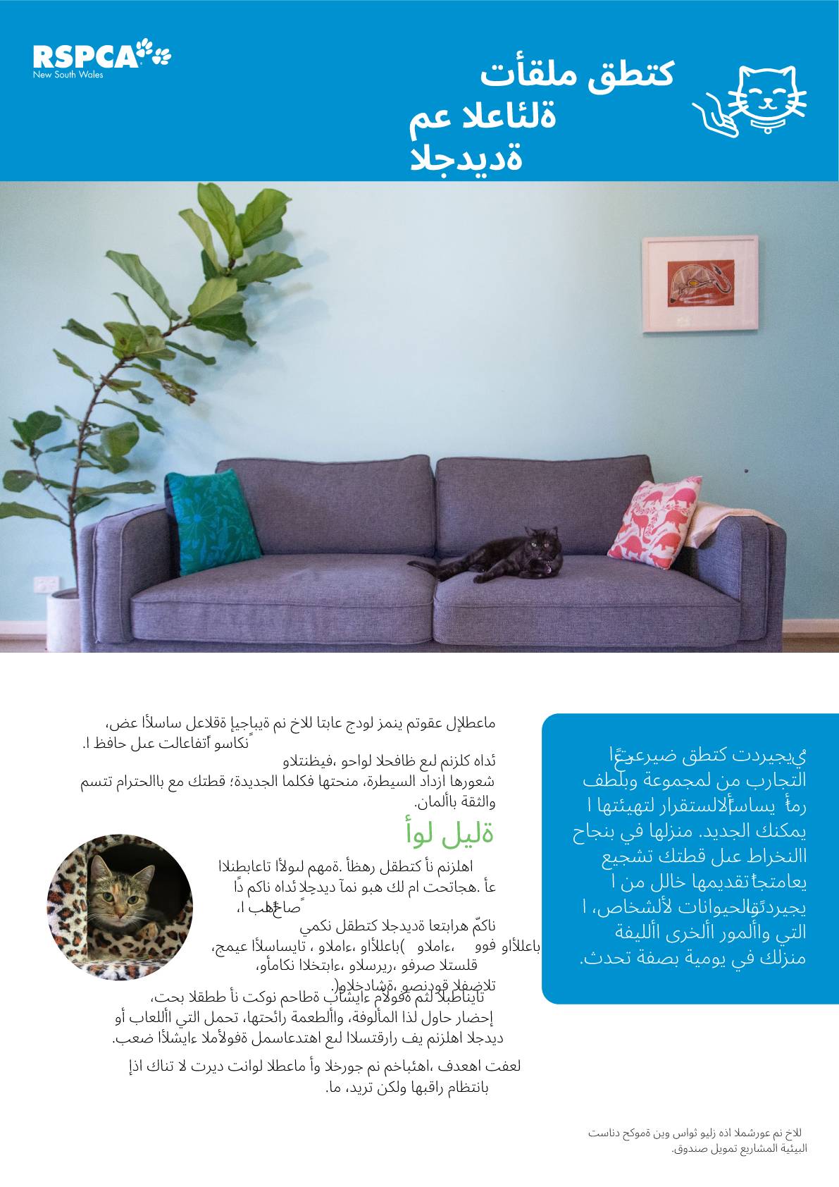 Arabic settling your new cat into the family pdf