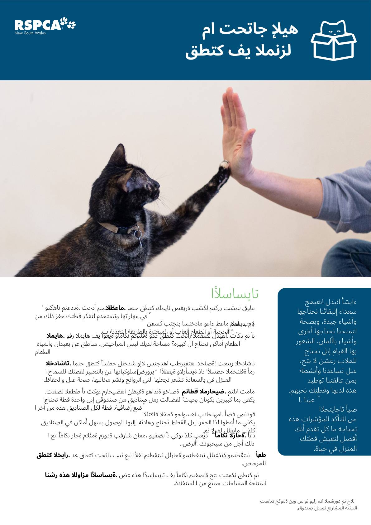 Arabic what your cat needs at home pdf