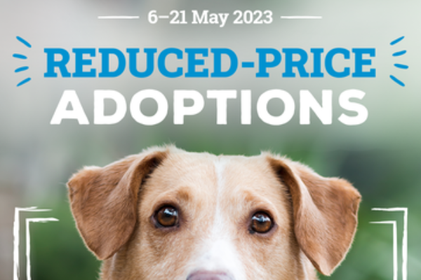 Reduced Price Adoptions!