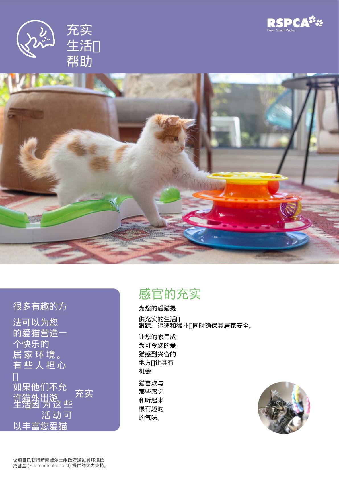 Chinese simplified enrichment help your cat to live their best life at home pdf