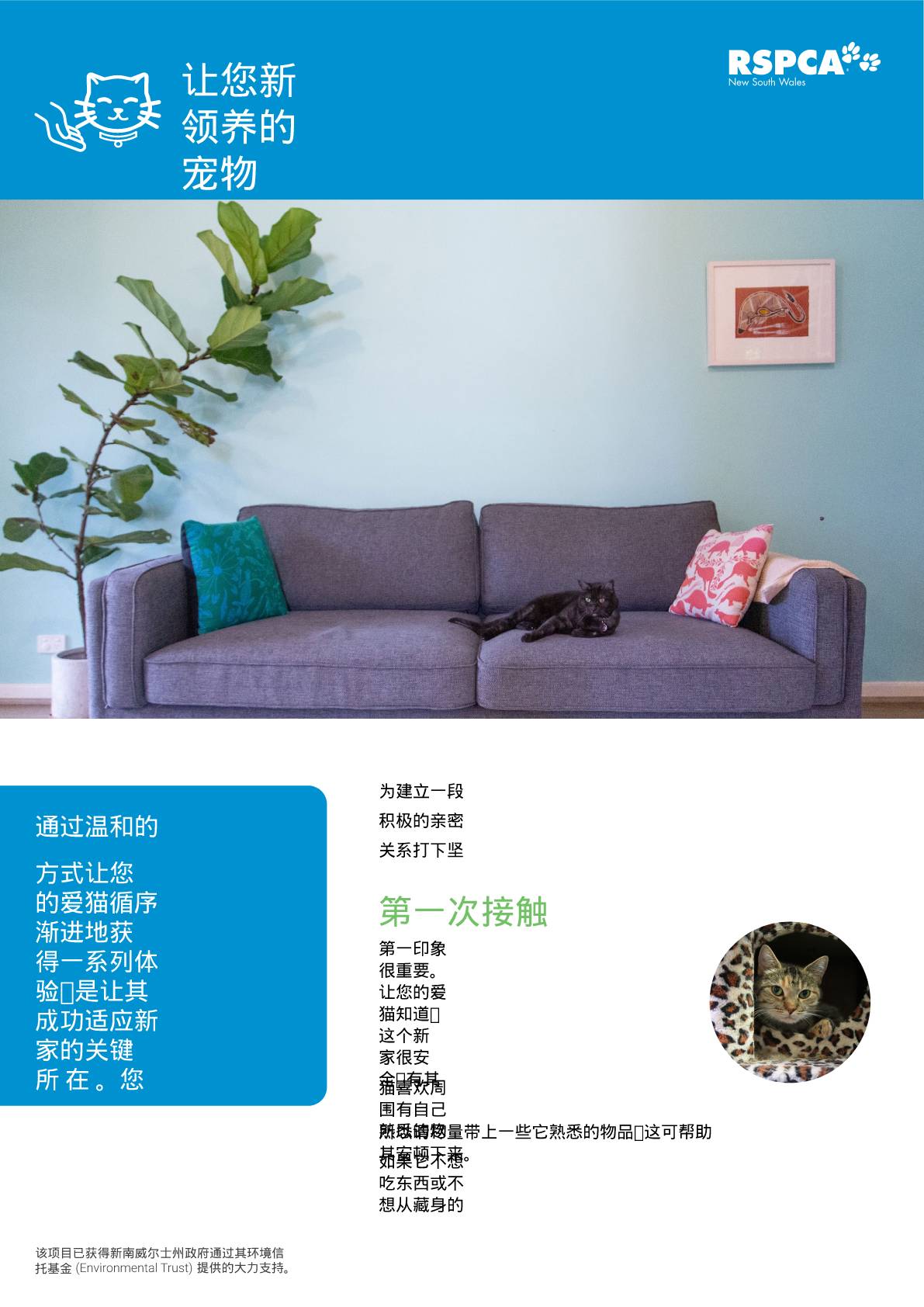 Chinese simplified settling your new cat into the family pdf