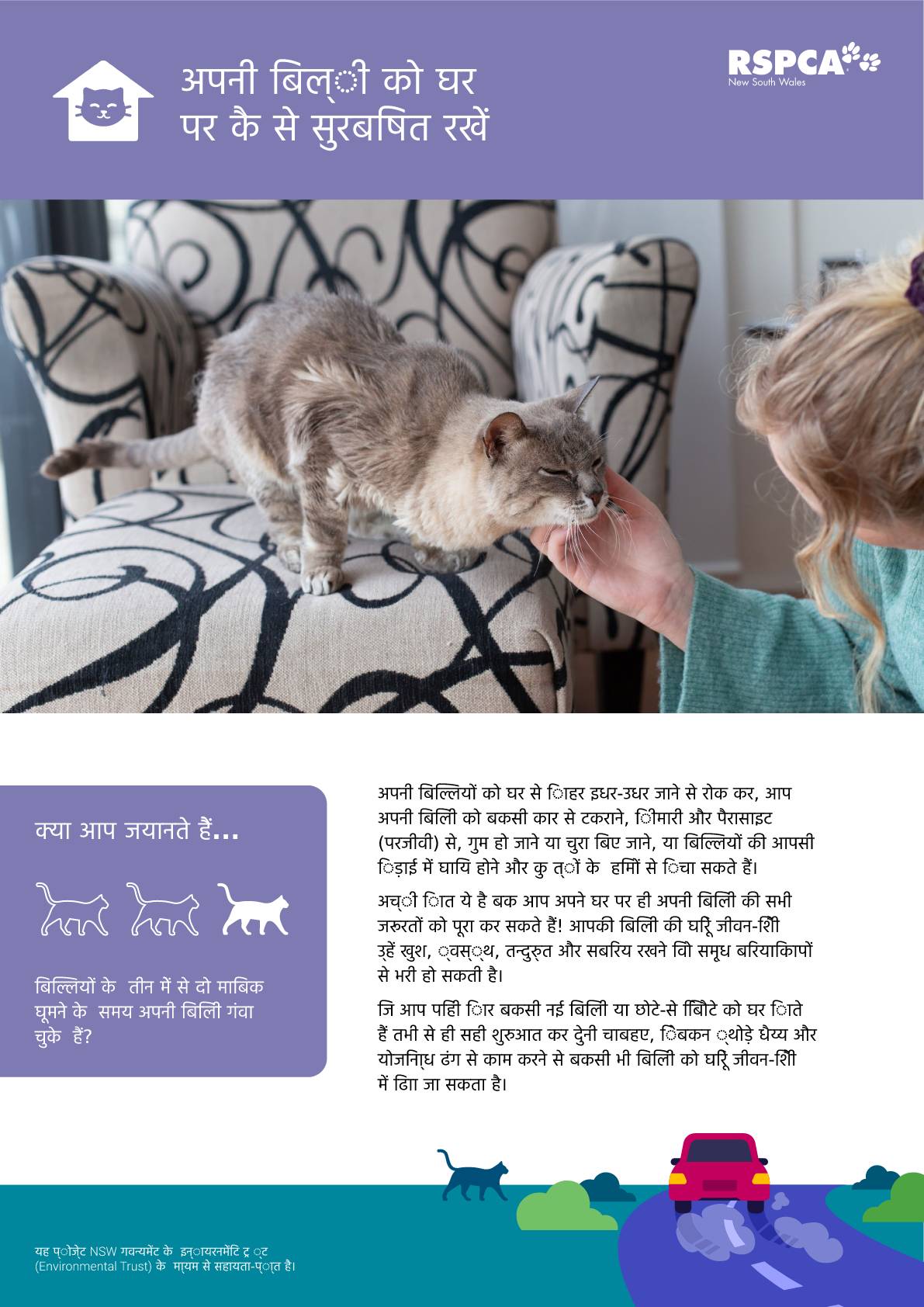 Hindi keep your cat safe at home pdf