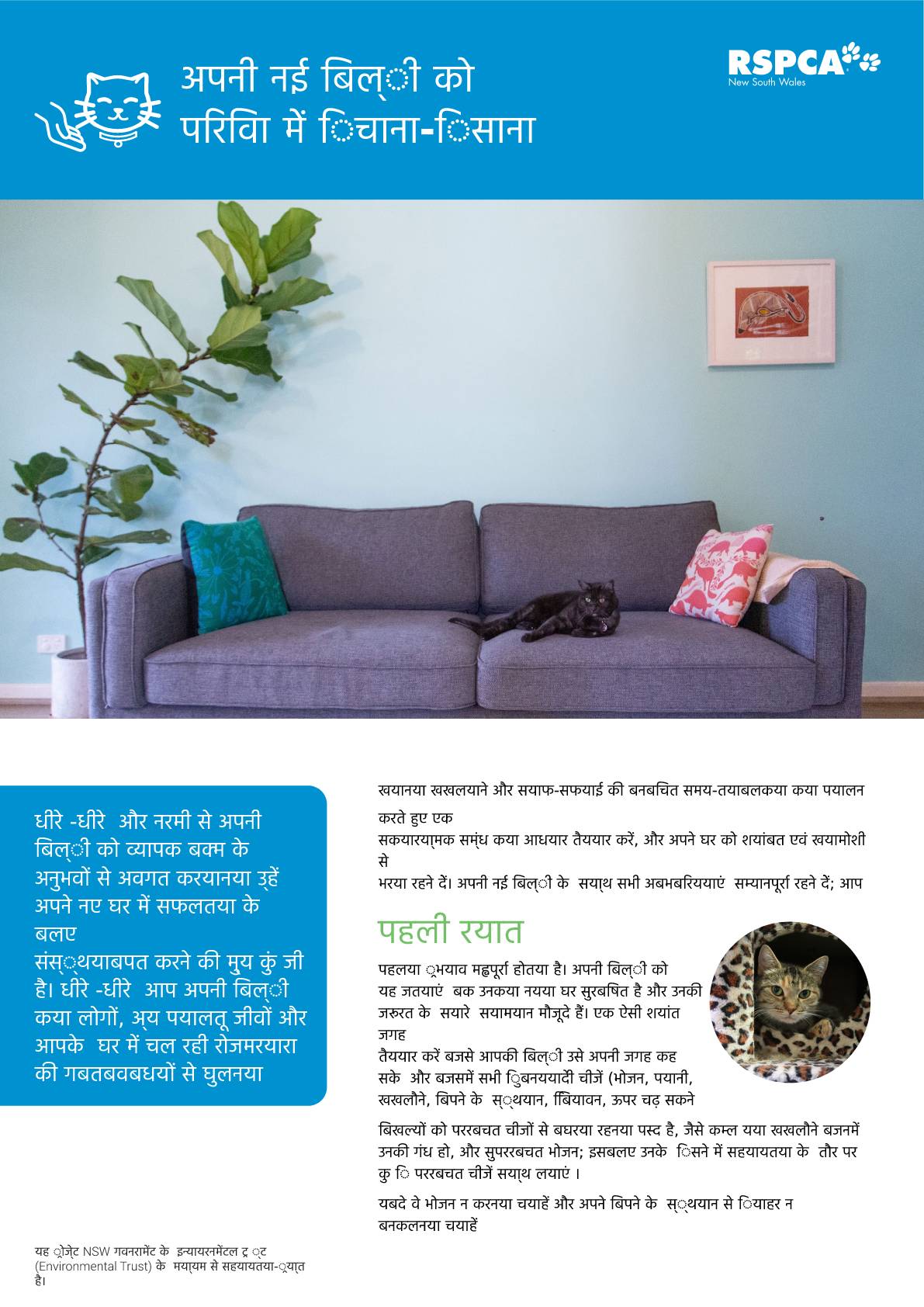 Hindi settling your new cat into the family pdf