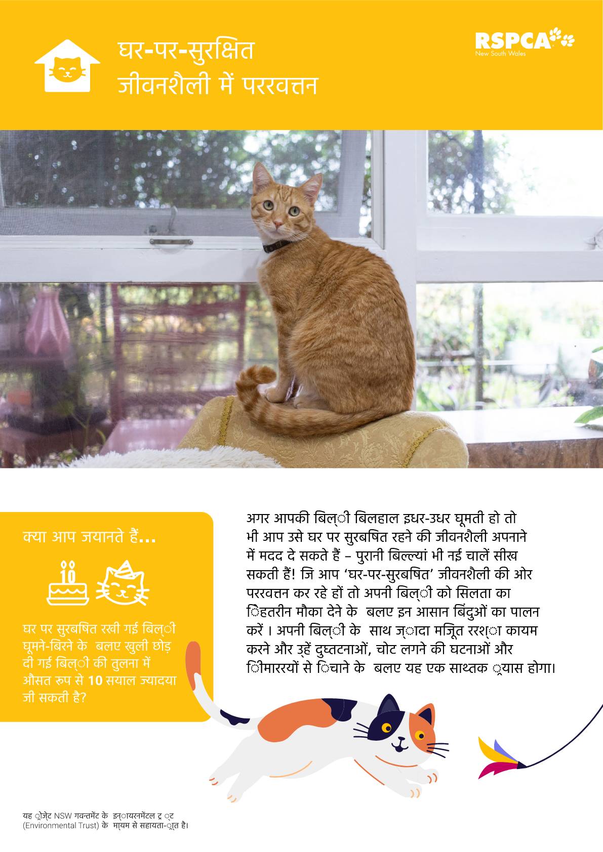 Hindi transitioning to a safe at home lifestyle pdf