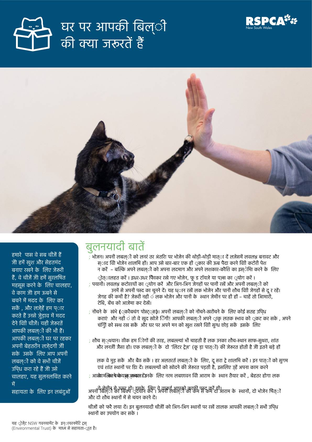 Hindi what your cat needs at home pdf
