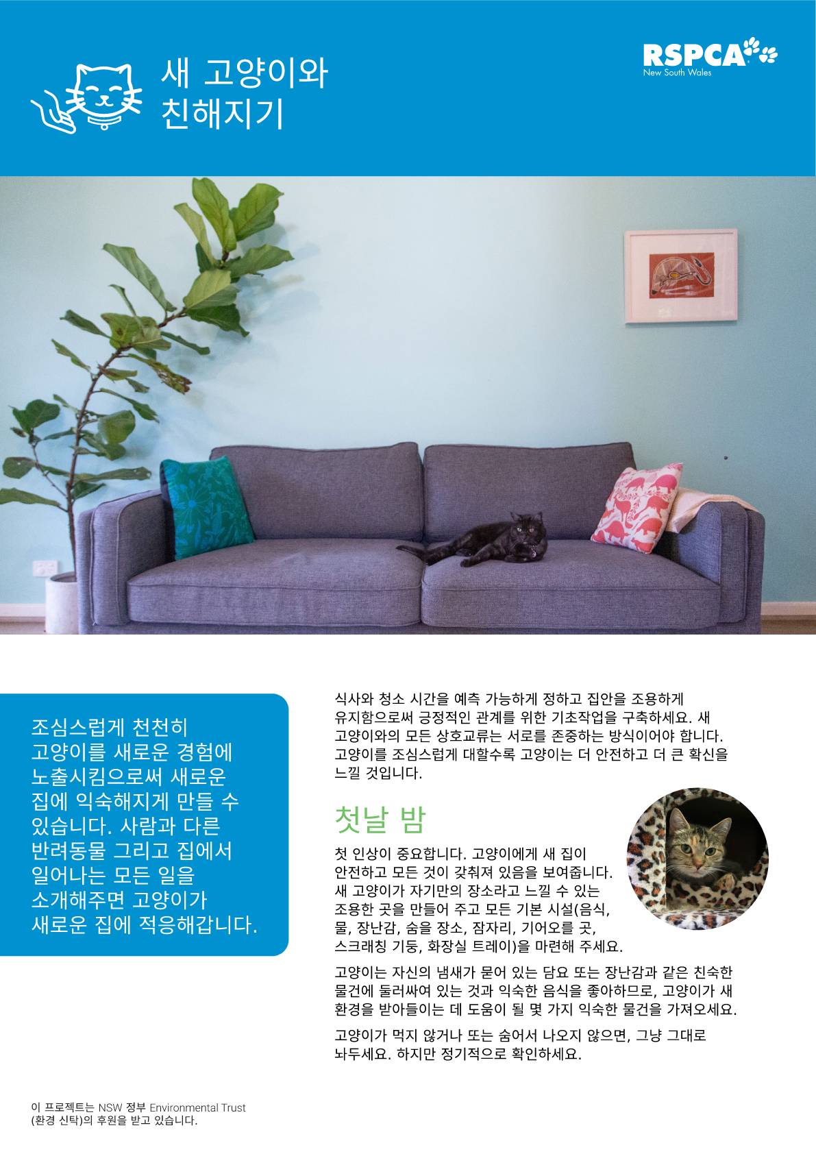 Korean settling your new cat into the family pdf