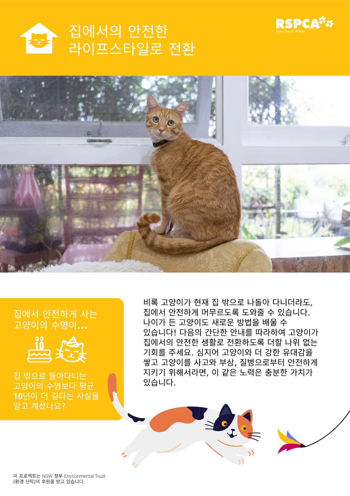 Korean transitioning to a safe at home lifestyle pdf