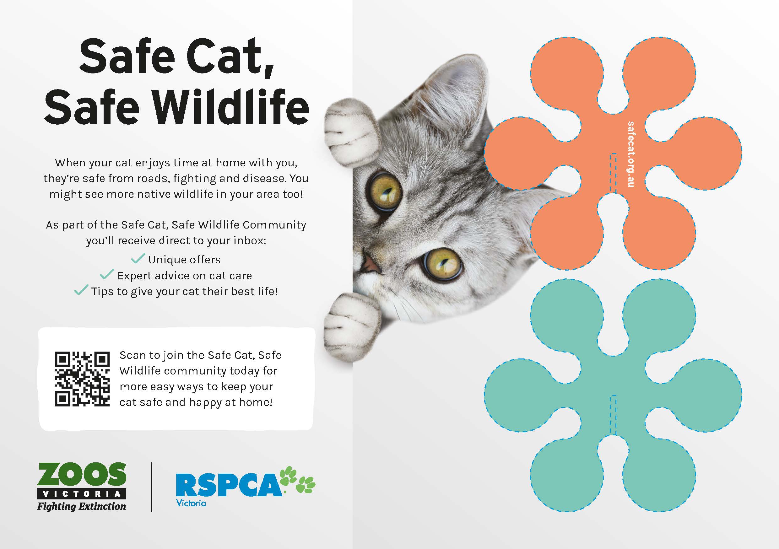 40071 ZV Safe Cat Safe Wildlife Cat Toy R128 Page 1