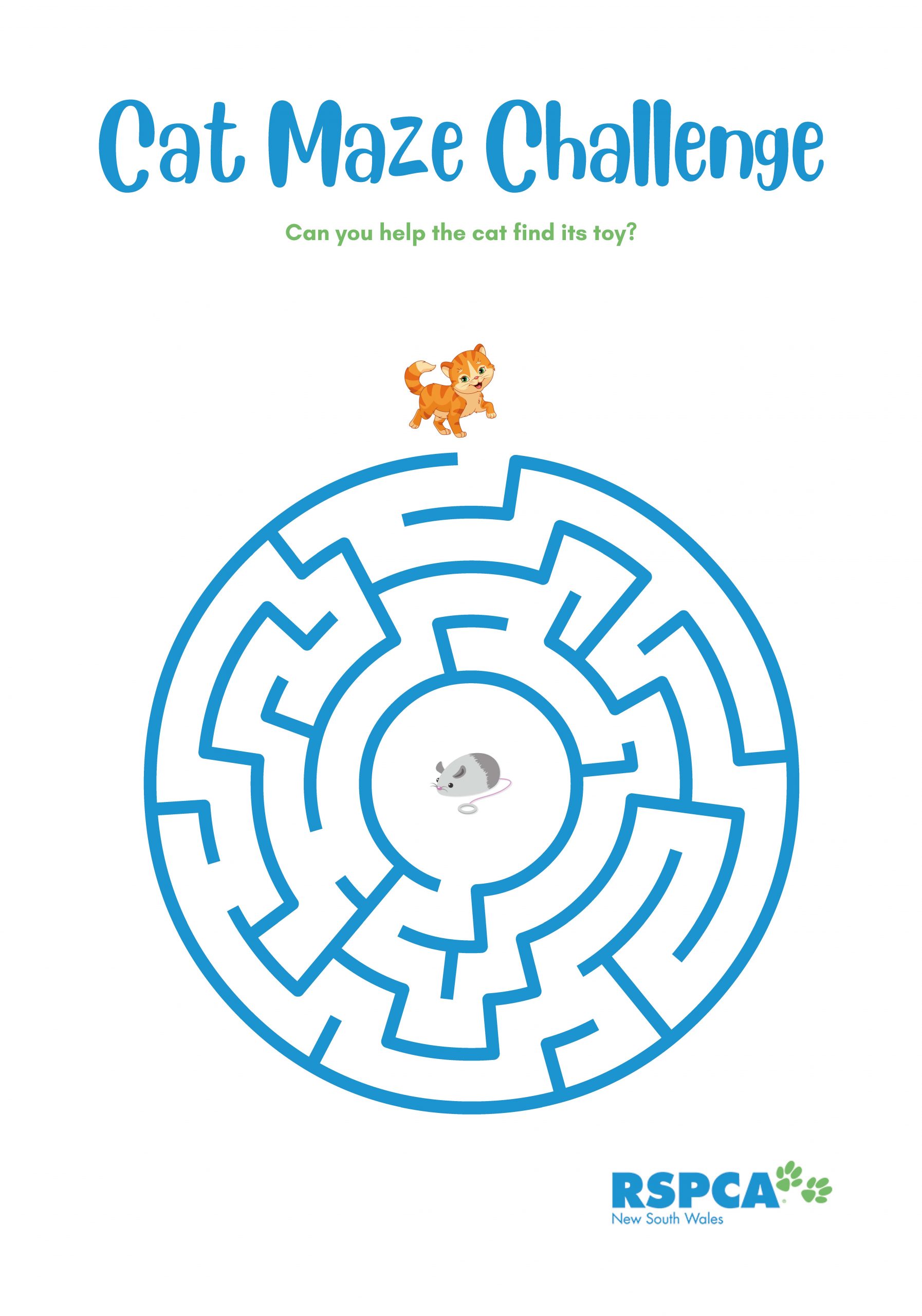 Cat Maze Challenge scaled