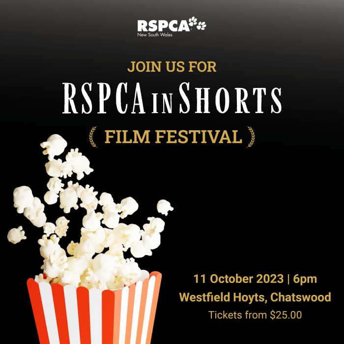 The premiere of the RSPCA Short Film Festival 'RSPCA in Shorts' is coming to Westfield Hoyts in Chatswood on Wednesday 11 October 2023.