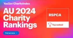 1200x627px Charity Rankings 2024 Assets AU li 02 v1 1