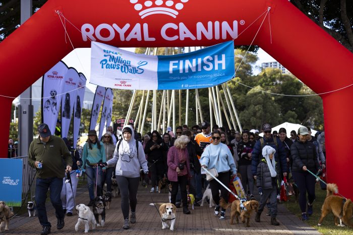 The RSPCA is celebrating the 30th annual walk to fight animal cruelty, the Million Paws Walk, on Sunday, 26 May 2024.