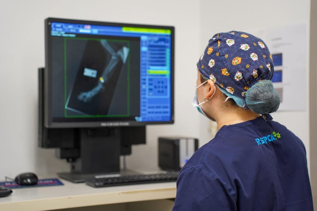 Sydney RSPCA Veterinary Hospital