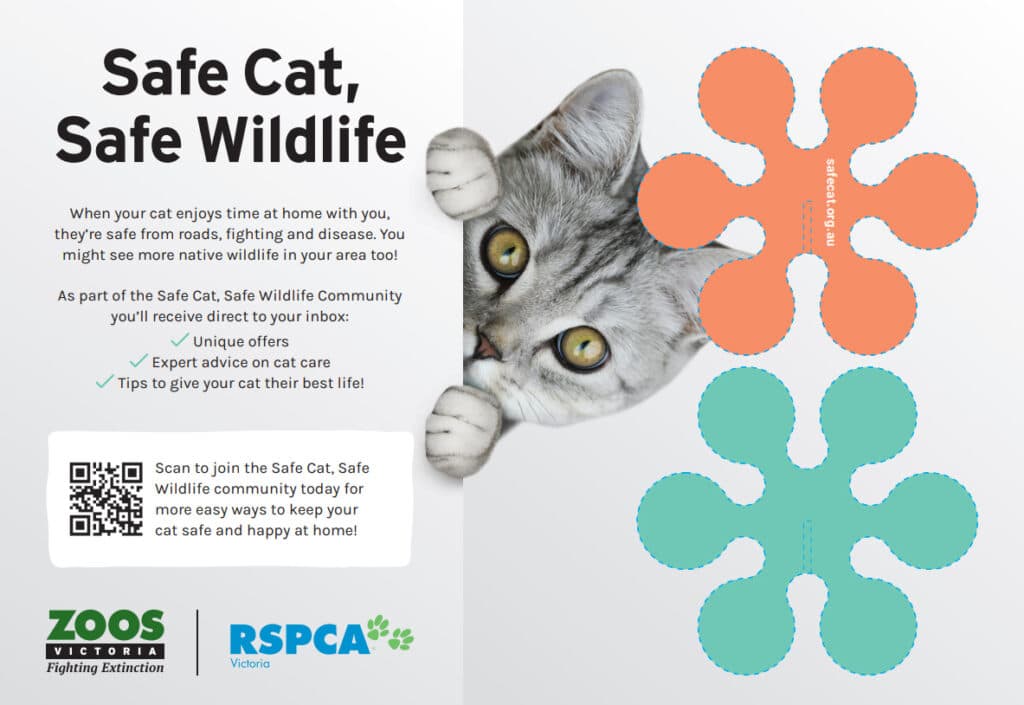 Kids' Corner - RSPCA New South Wales