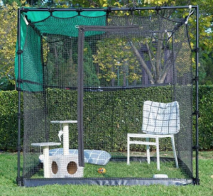 Enter to win* your very own Catnet