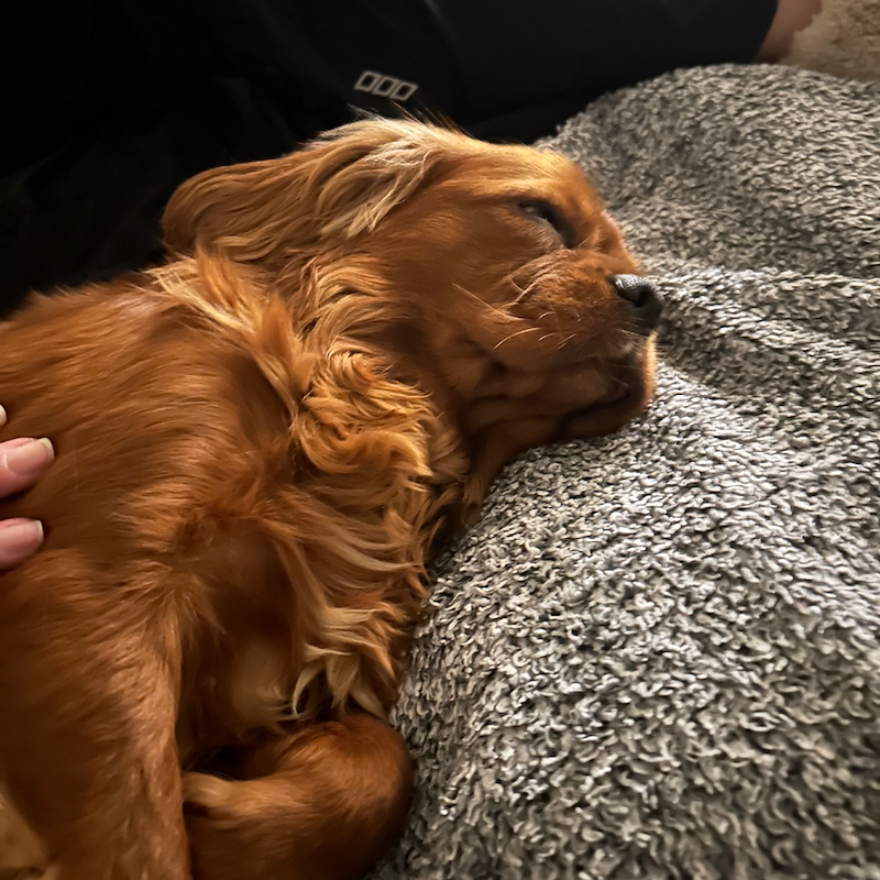 013Q4MQH2CZQLNGTOJIZAZLCELA5J4ITUQ.png