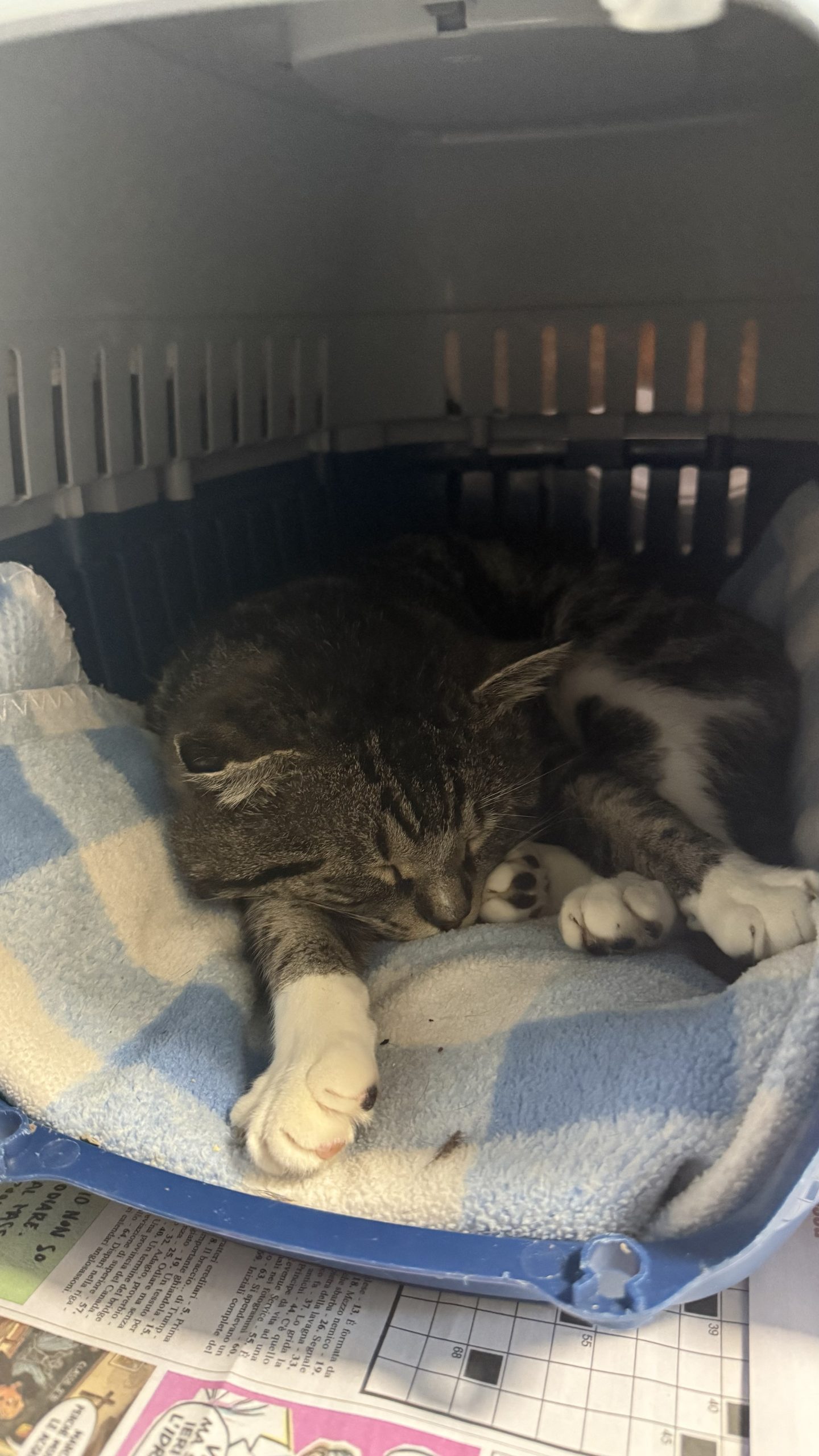 013Q4MQH2DSPBLQXPTZ5CK6HIU6NWTWQH2.jpg