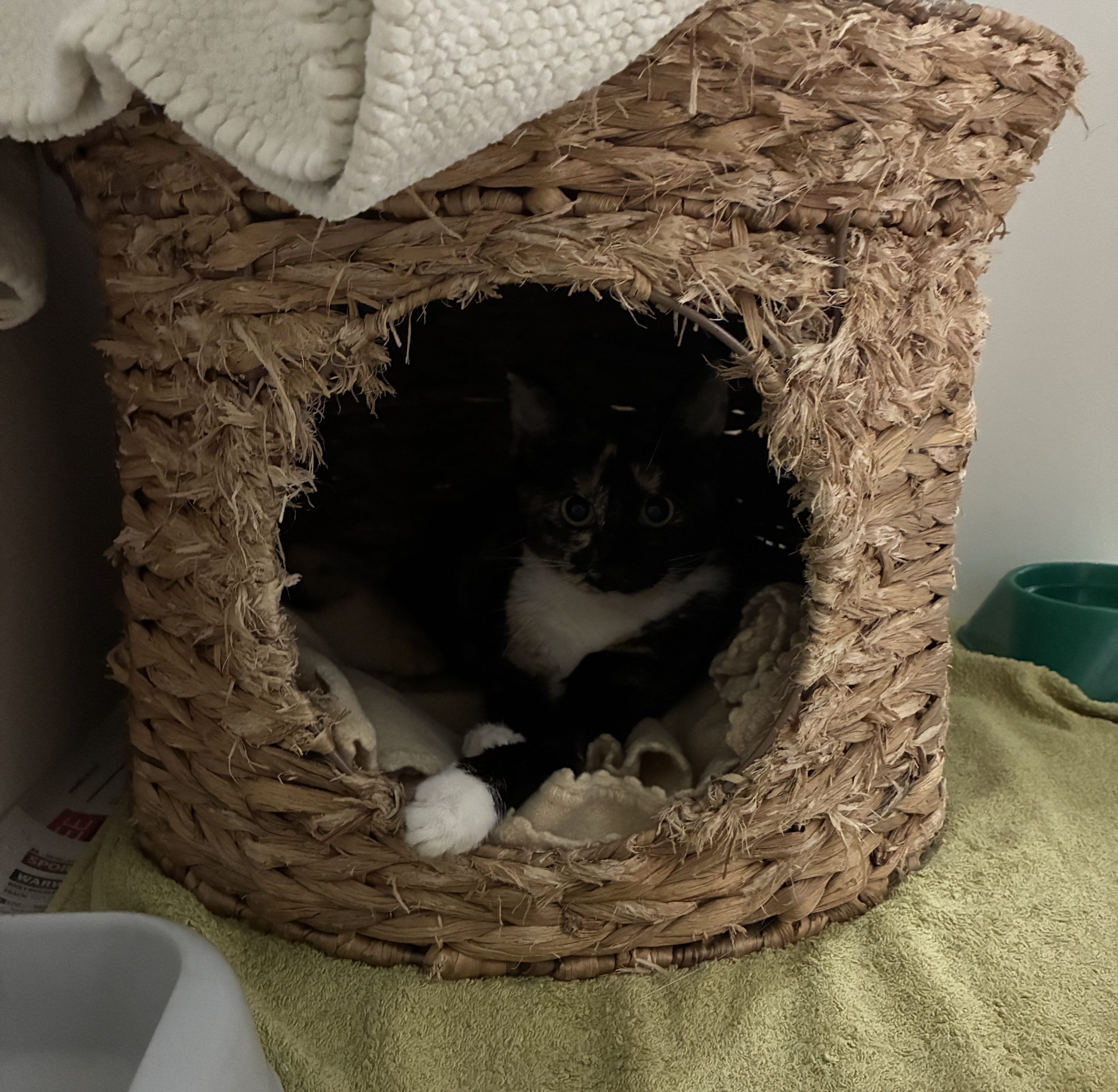 013Q4MQH2QVIY5Y5PCHVA3ZYX2CVP22AJ5.jpg