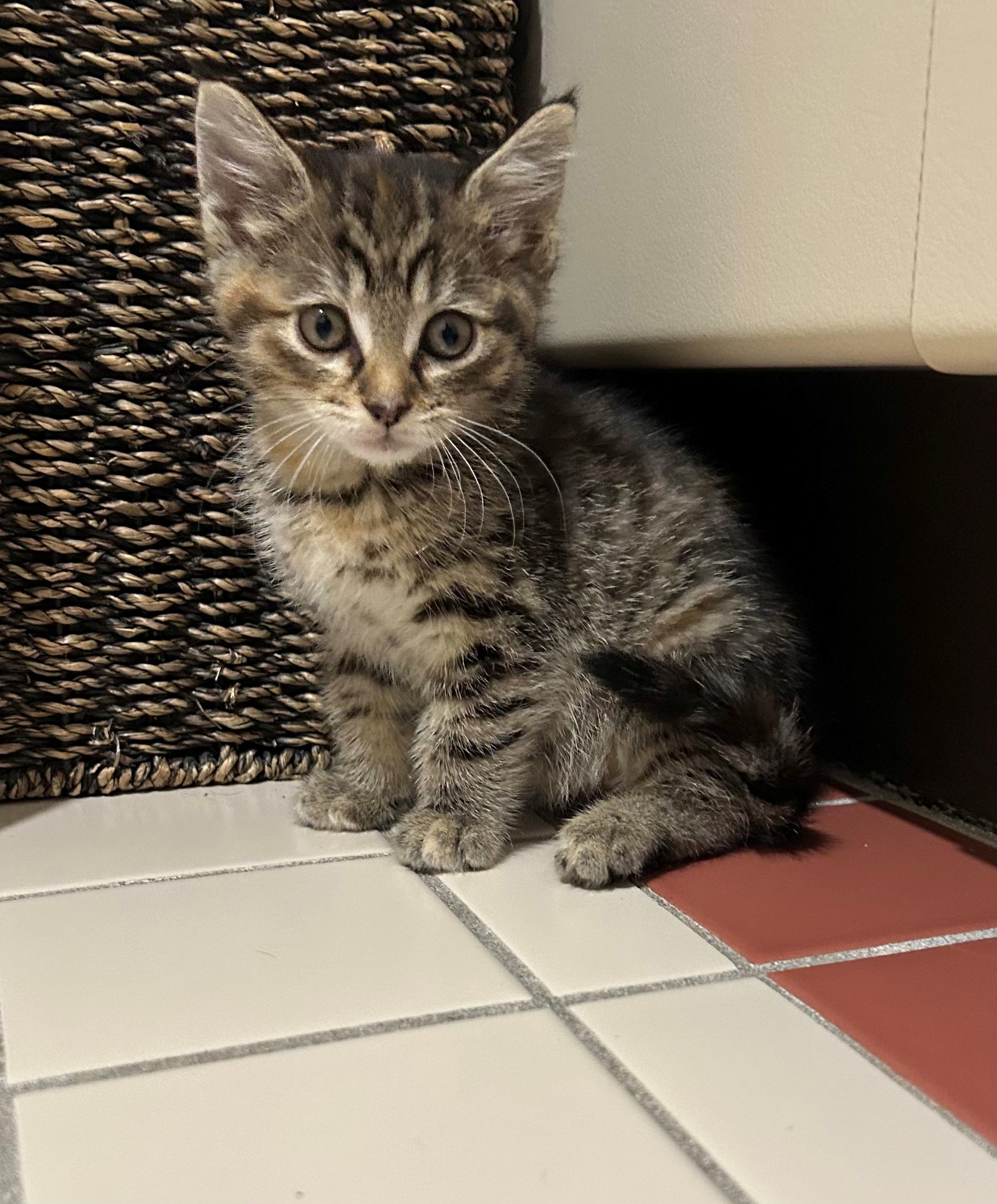 013Q4MQH2ROXY62HQFPVD2CBTGTYMQQYHA.jpg