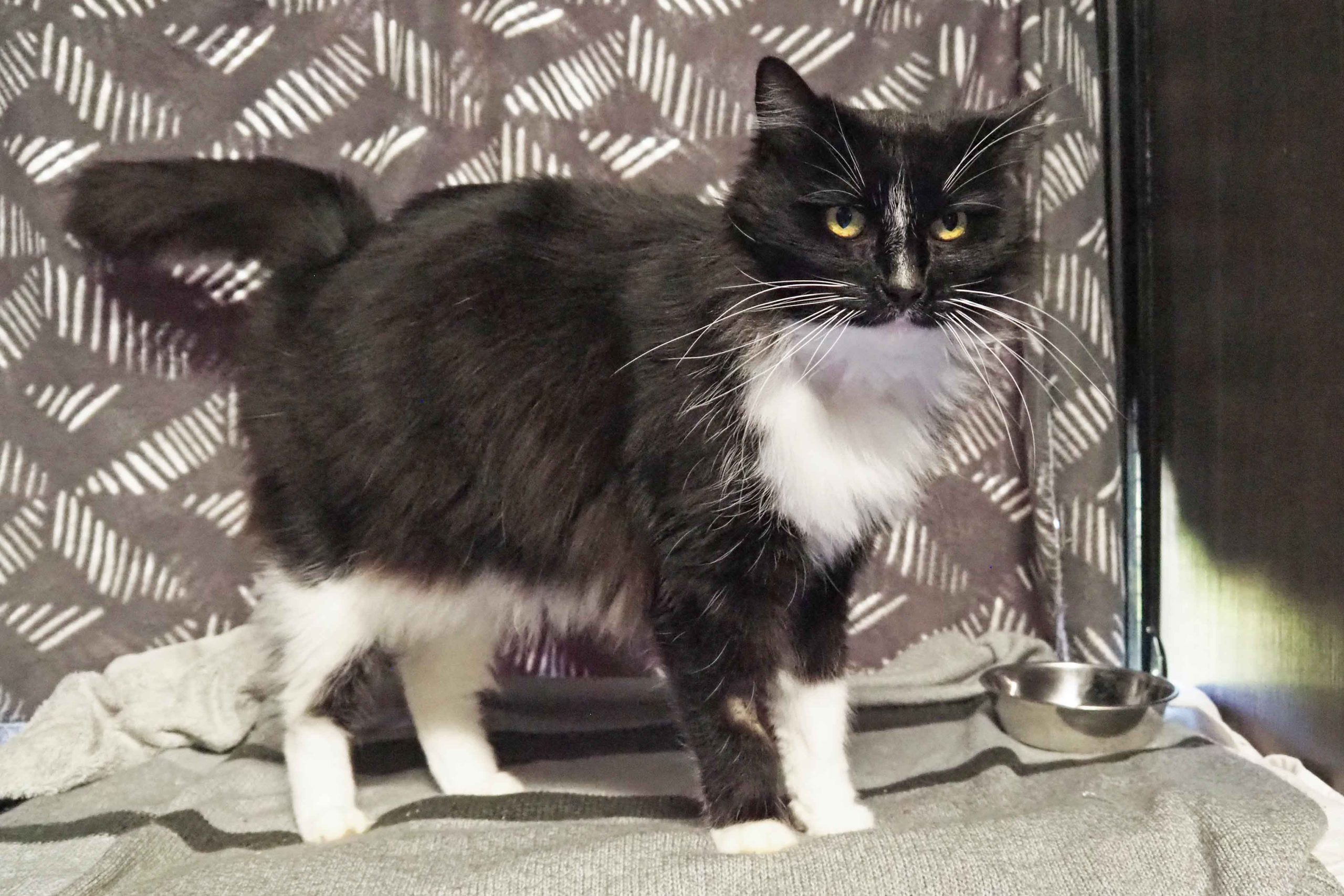 013Q4MQH2XIXVBZJG6JNE3RGH4I5YOUH4E.jpg