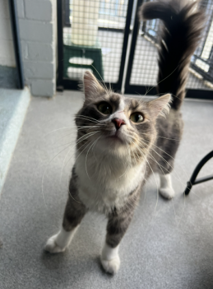 013Q4MQH35H7D3EBXOJVBLFWASX5ESOF6Z.png