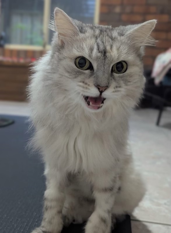013Q4MQH4477SGMHYCJ5HJDT5ZBBOBKOWN.jpg