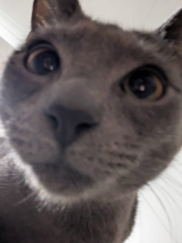 013Q4MQH4H5HXE7JSSIVHL3D25ZLPLXK62.jpg