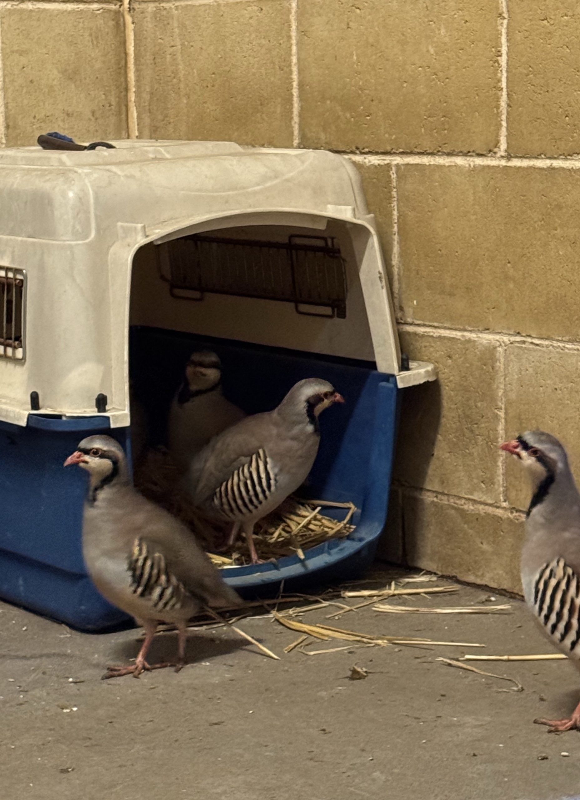013Q4MQH5AEYT7KI4KEJE2SPUARESAVPC2.jpg