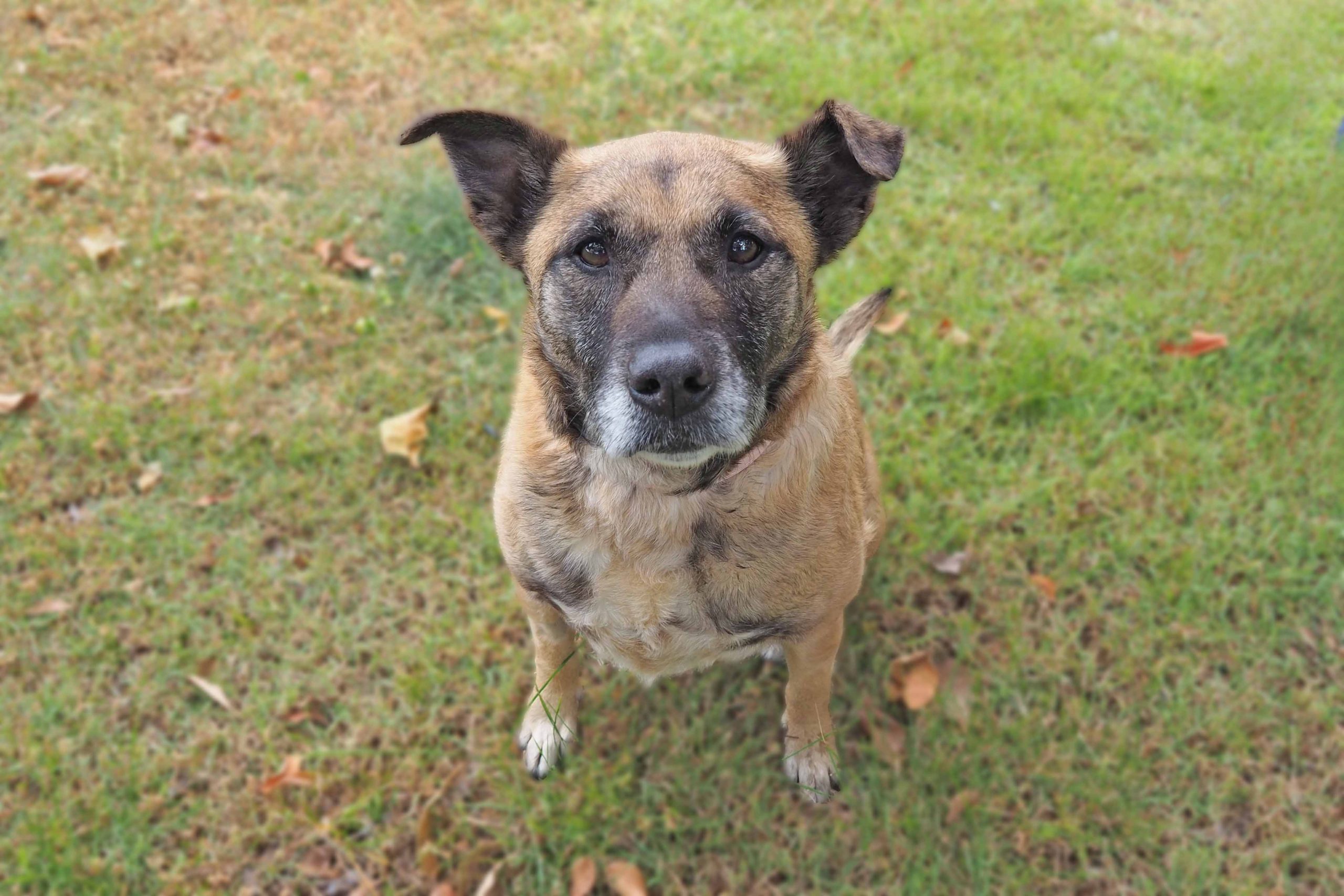 013Q4MQH64EO7HV63KPNFIWMWUHGEUX24Z.jpg