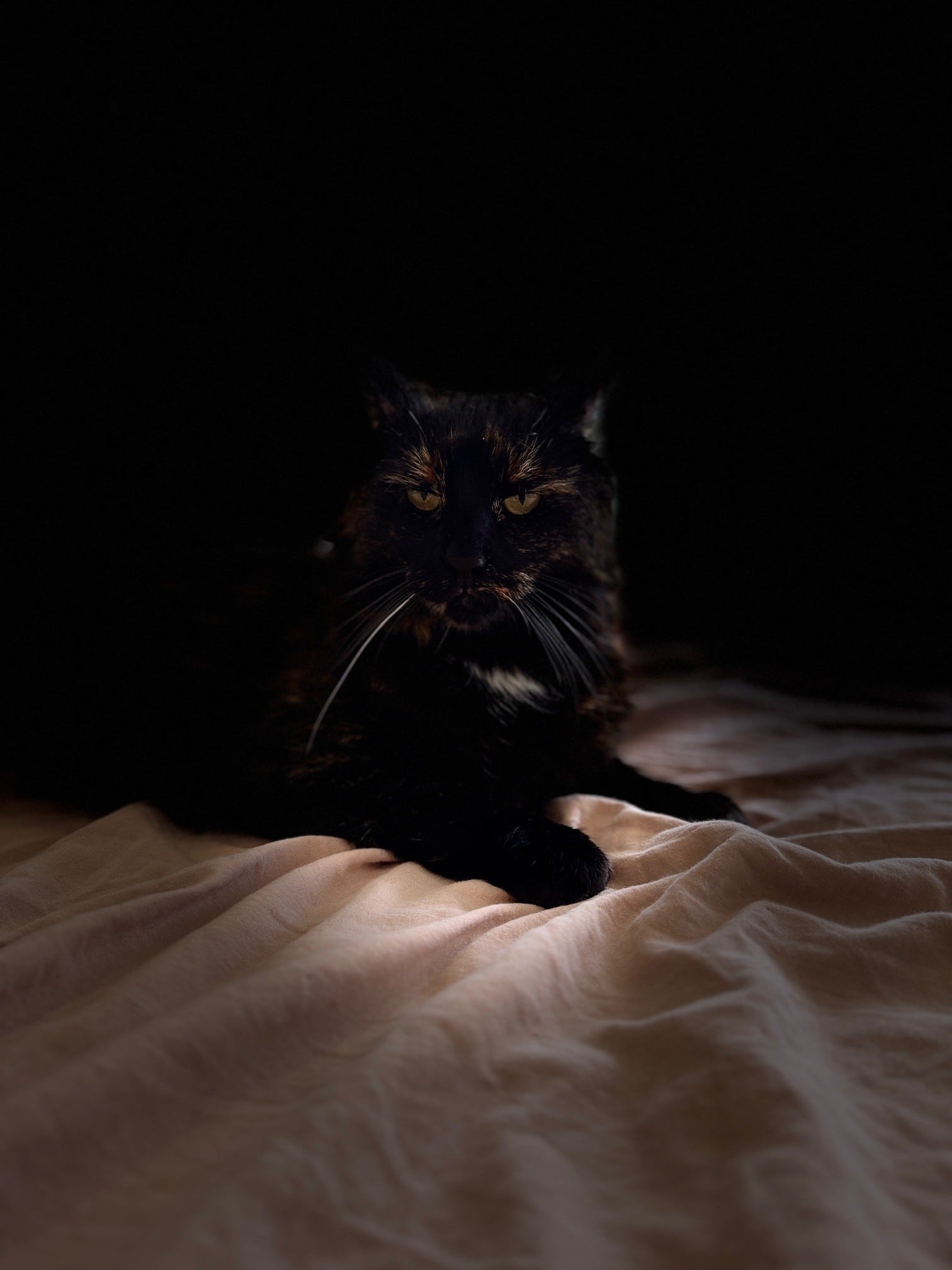 013Q4MQH6LKIX2W4J4NRFKWVJNQGOT64OY.jpg