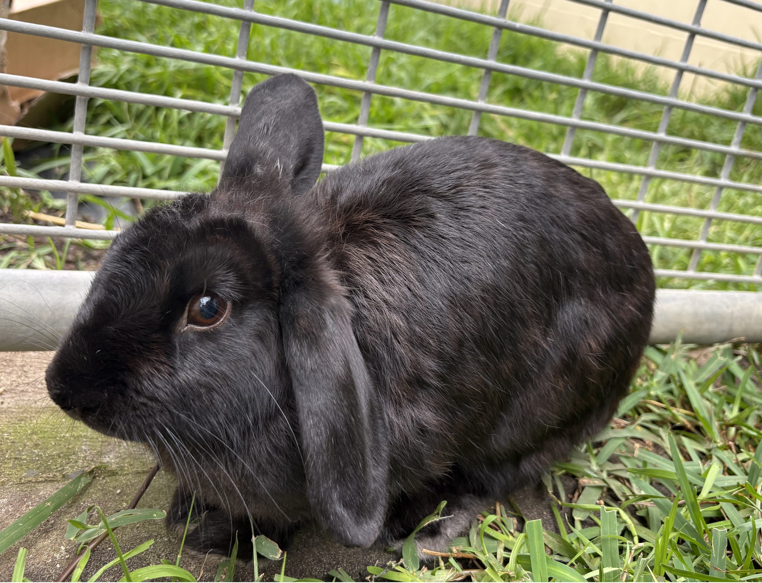 013Q4MQH6U57V4NVJNSBD2F4RFIVEZPSA7.jpg