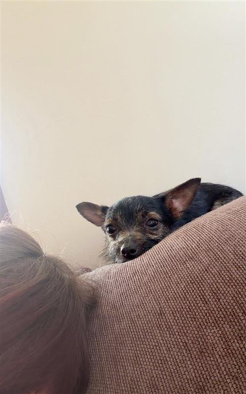 013Q4MQH7OARHBZRSMHBAKEQ3S4YWWU6Z3.jpg