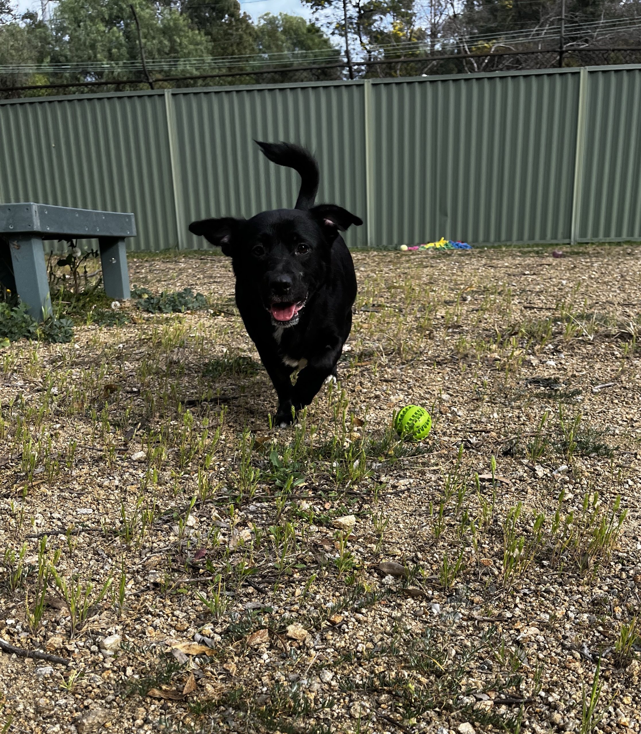 013Q4MQH7TDWVXZPQDD5FJT2PHR4AHAABY.jpg